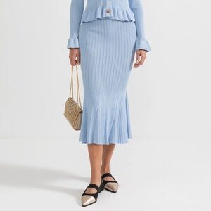 NWT Sierra Darien Flared Knit Skirt - Baby Blue